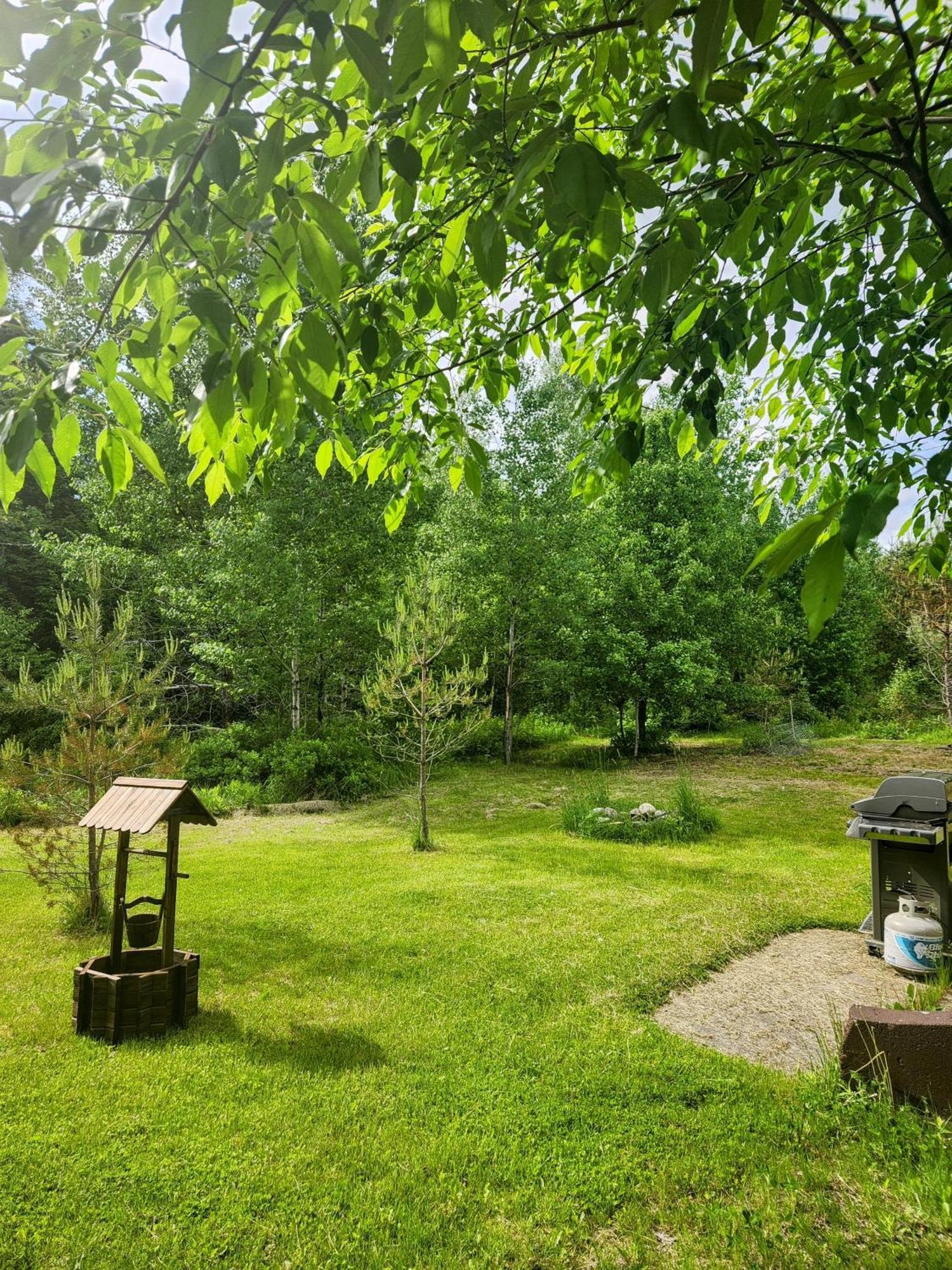 Backyard Bliss In The White Mountains Villa Lincoln Exteriör bild