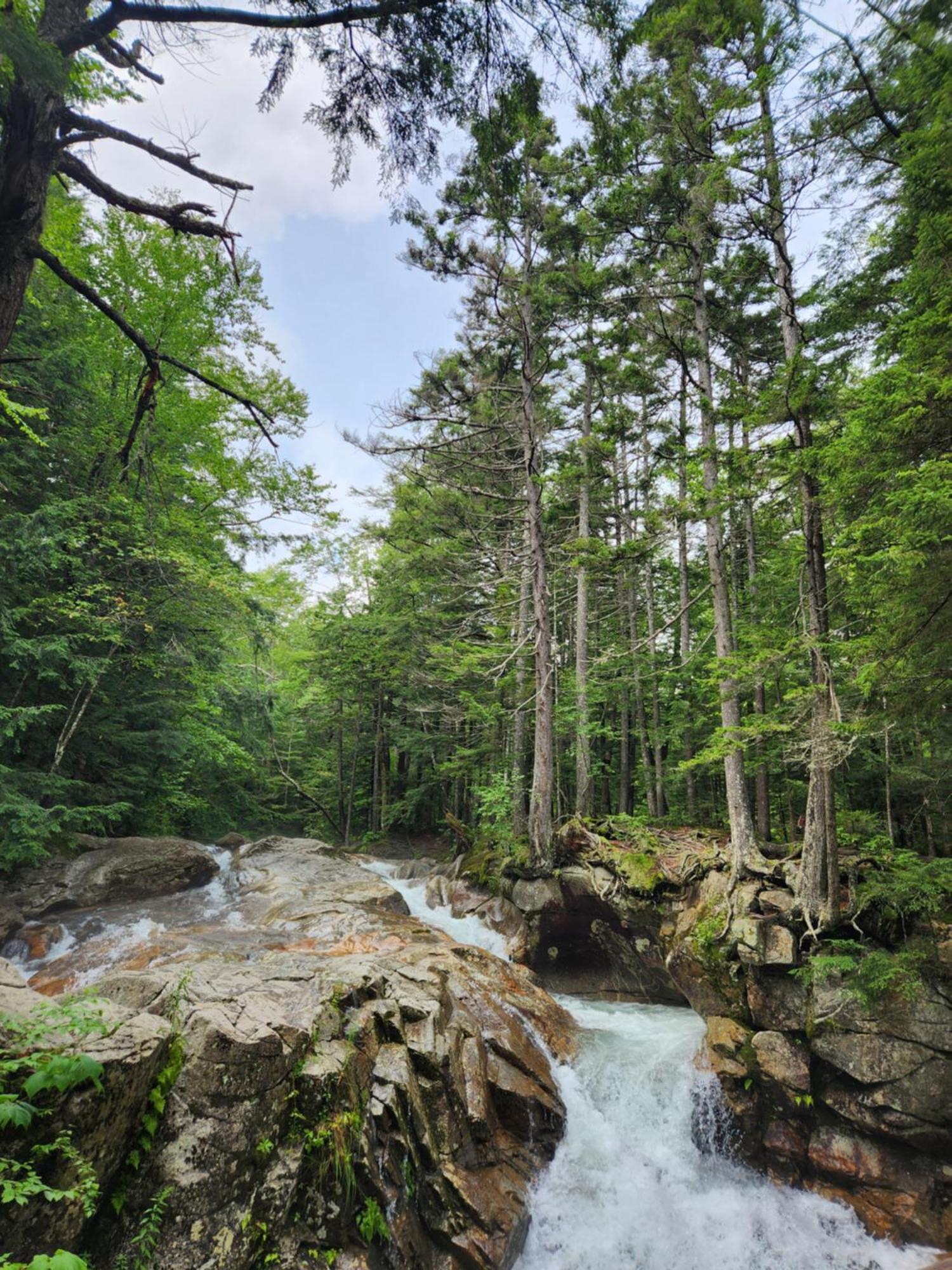 Backyard Bliss In The White Mountains Villa Lincoln Exteriör bild